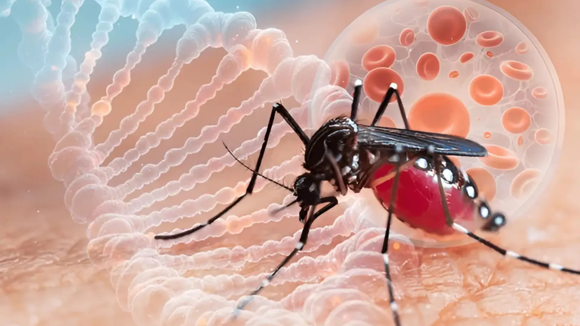 Delhi Reports 4,533 Dengue Cases And 3 Deaths In 2024