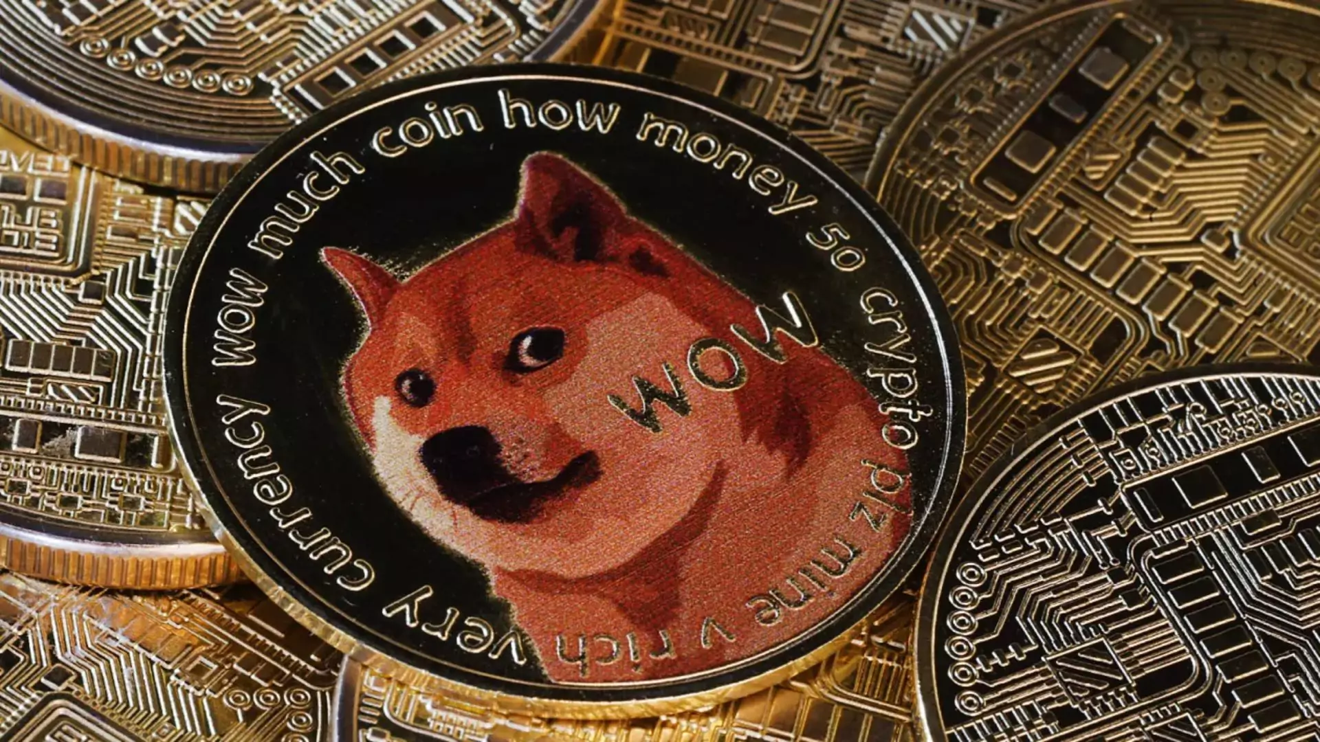 Trump DOGE Announcement Fuels 20% Rise in Dogecoin