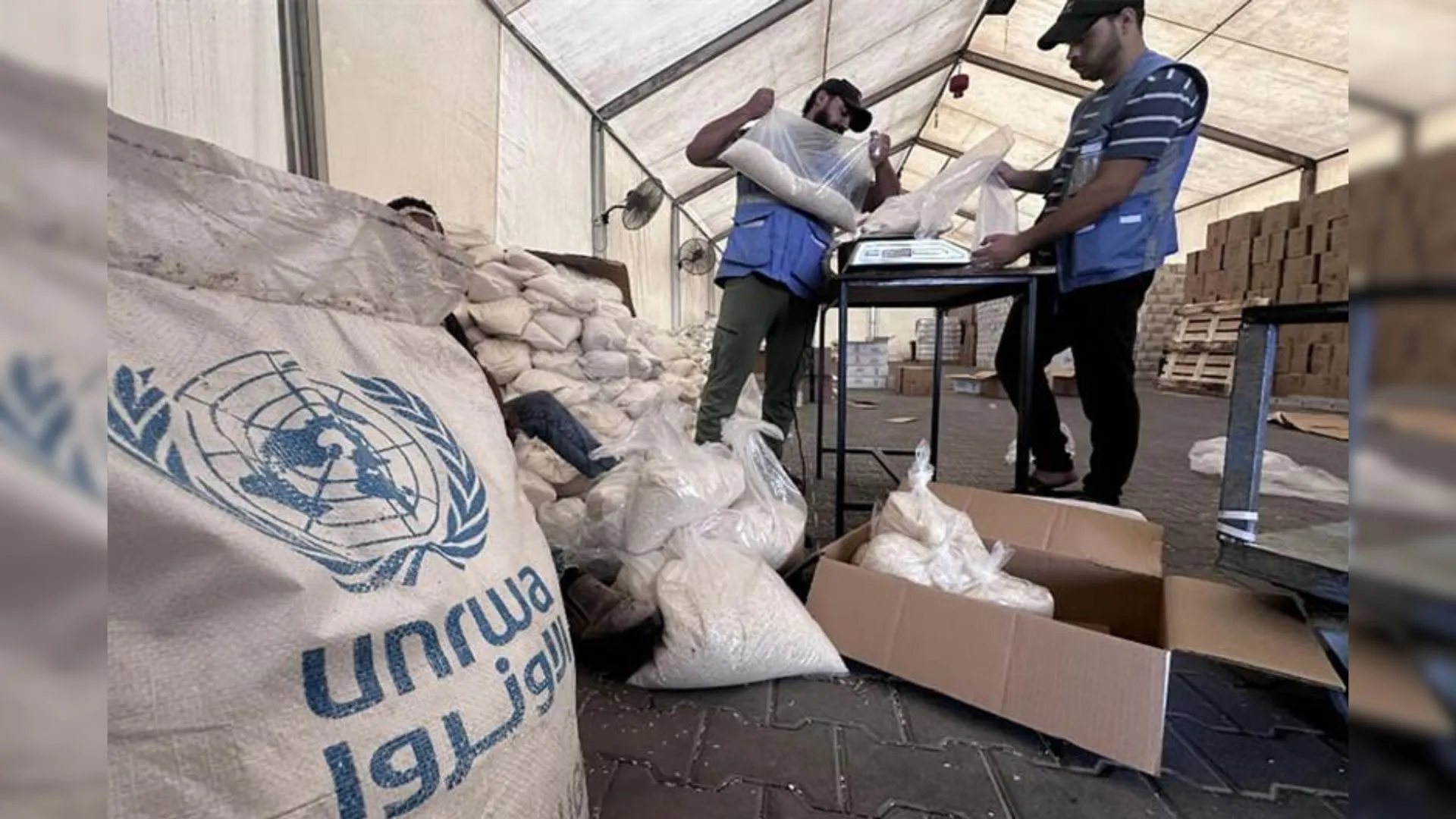 Egypt Strongly Condemns Israel’s Withdrawal From UNRWA: What’s Next For Palestinians?