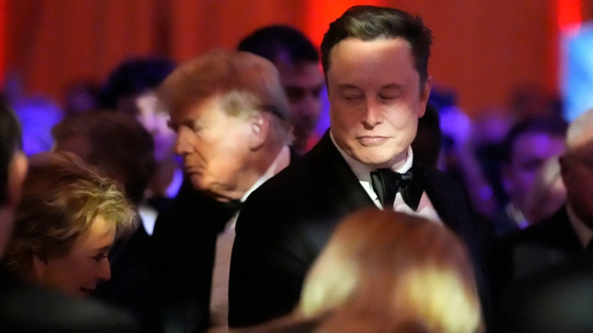 Cold Shoulder? Body Language Reveals Growing Tension Between Musk And Trump