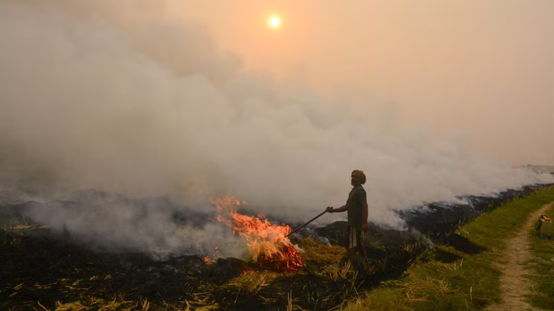 Delhi Aapatkaal: Why NASA Is Unable To Capture Parali Burning? ISRO Scientist Hiren Jethva On Farmers Evading Satellites