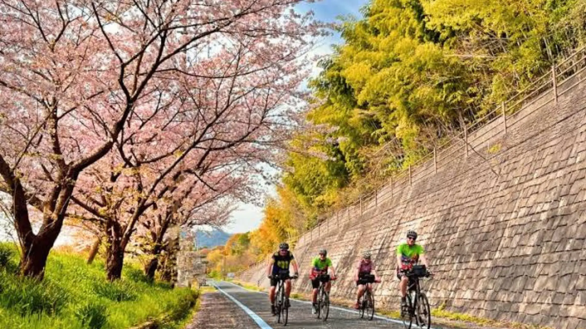 No Phones, Alcohol While Cycling! Japan Introduces New Penalties Of Up To 6 Months In Jail