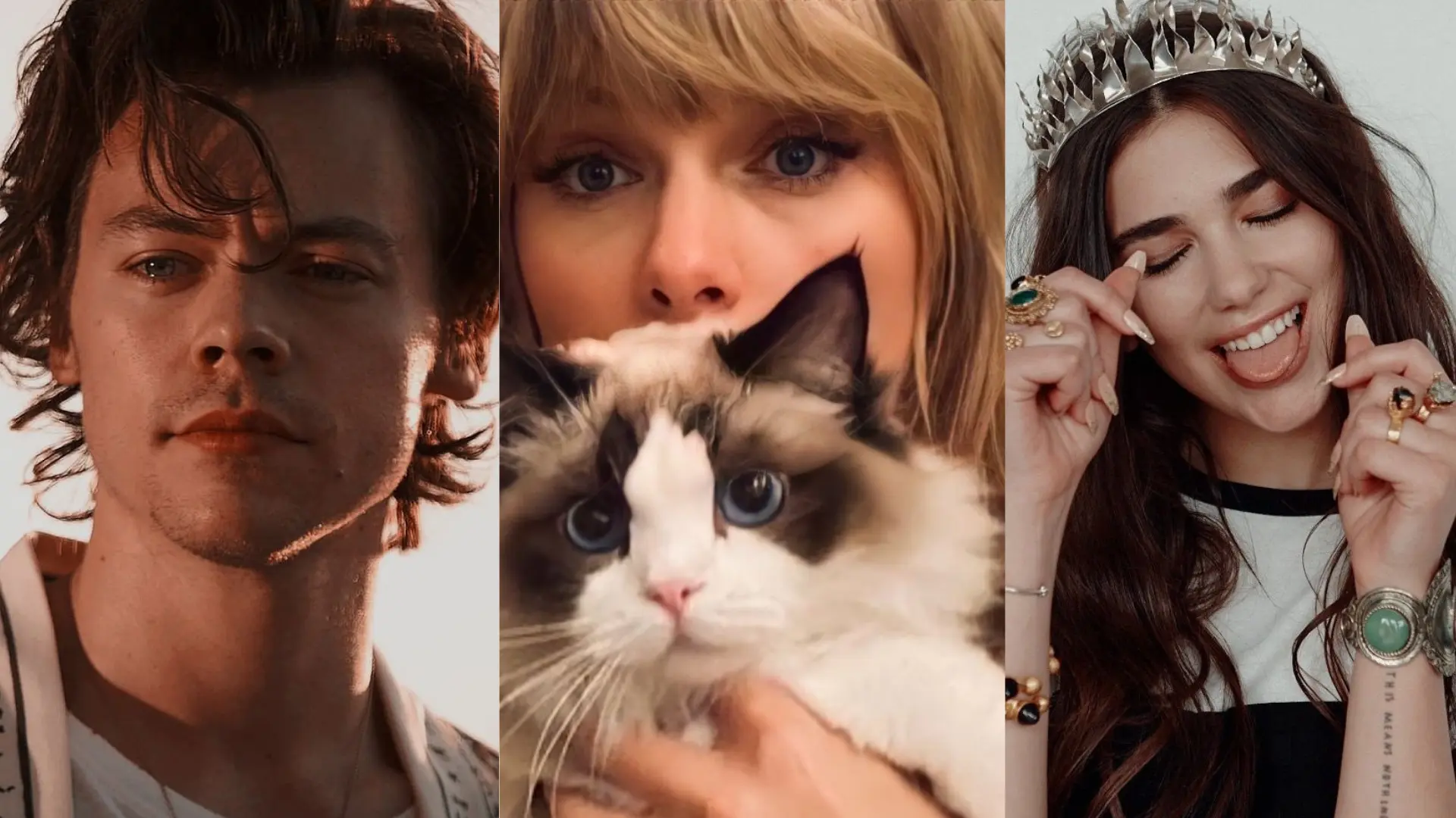 Harry Styles, Dua Lipa Among Richest British Under 30; Taylor Swift’s Cat Tops Richest Pet List