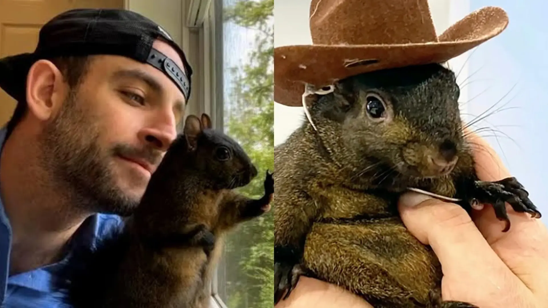 Here’s WHAT Mark Longo Said On Allegations of Using His Pet Peanut The Squirrel’s Death To Promote OnlyFans