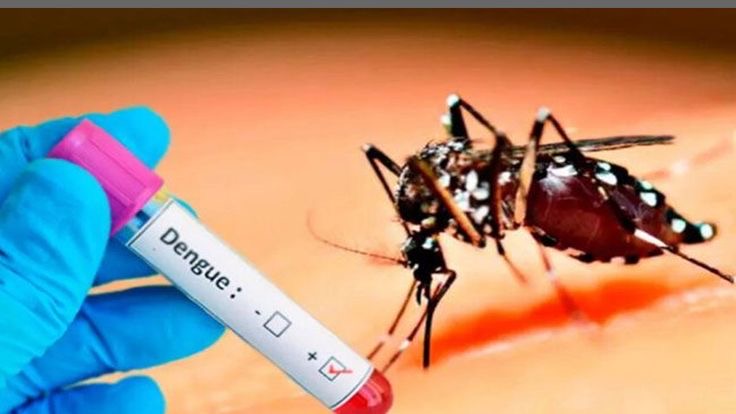 Dengue Outbreak In Lucknow, 2100 Cases Reported in 2024: Here’s How To Prevent It