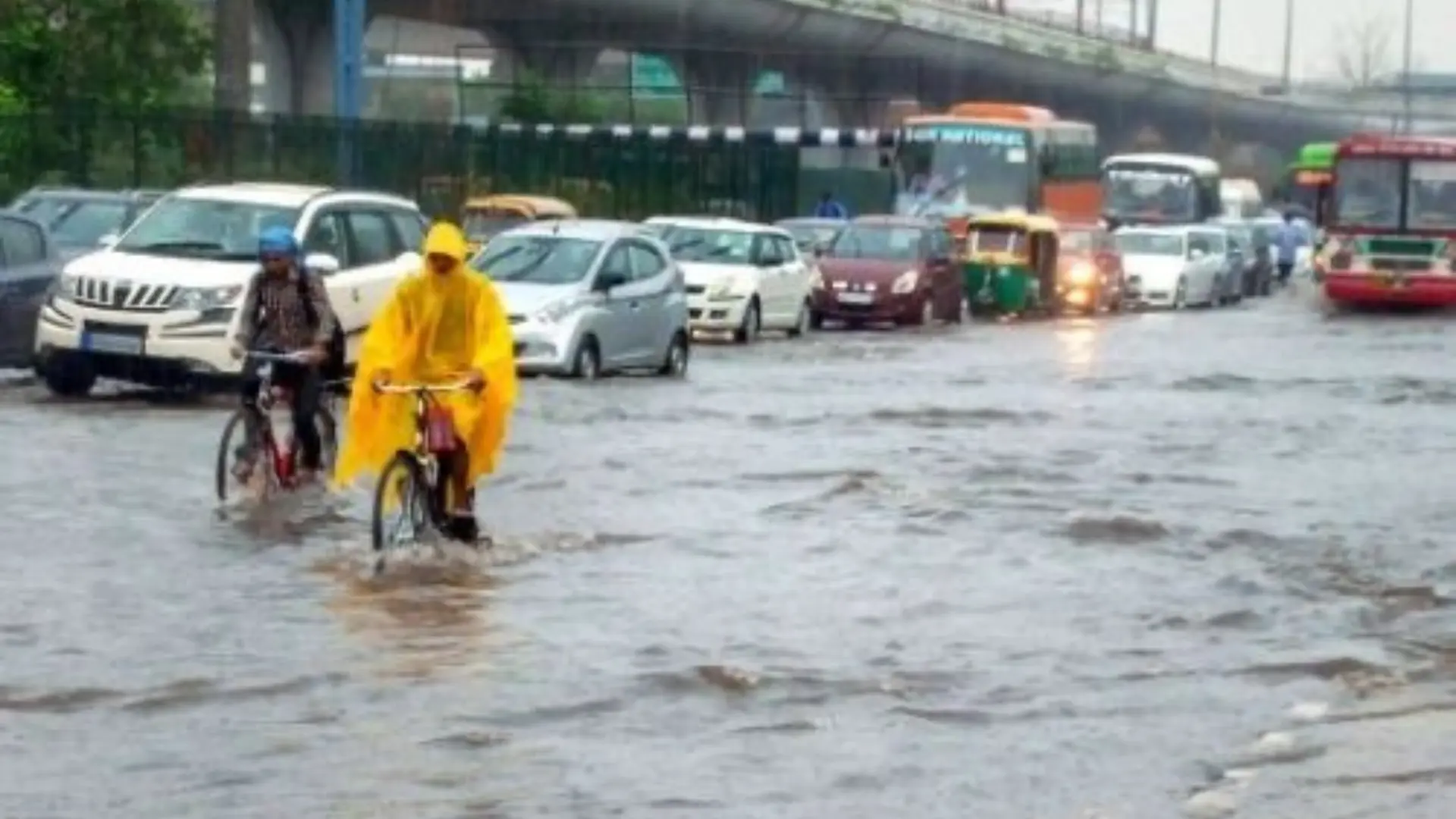 Heavy Rainfall ‘Red Alert’ In Tamil Nadu and Puducherry, CM Stalin Calls For A ‘High-Level’ Meet