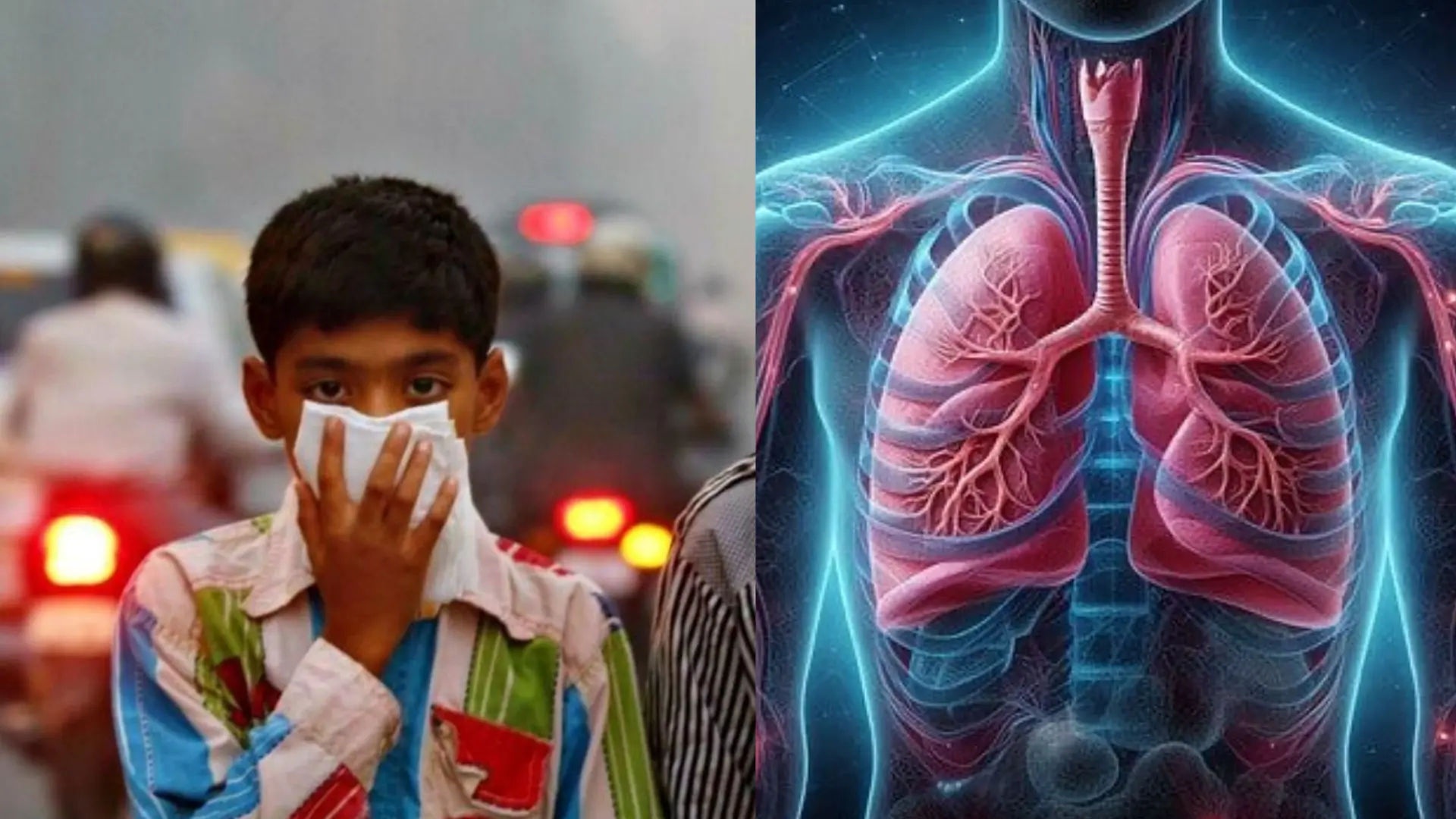 How Air Pollution Can Bring a Lung Cancer Endemic,  What We Can Do to Protect Our Lungs