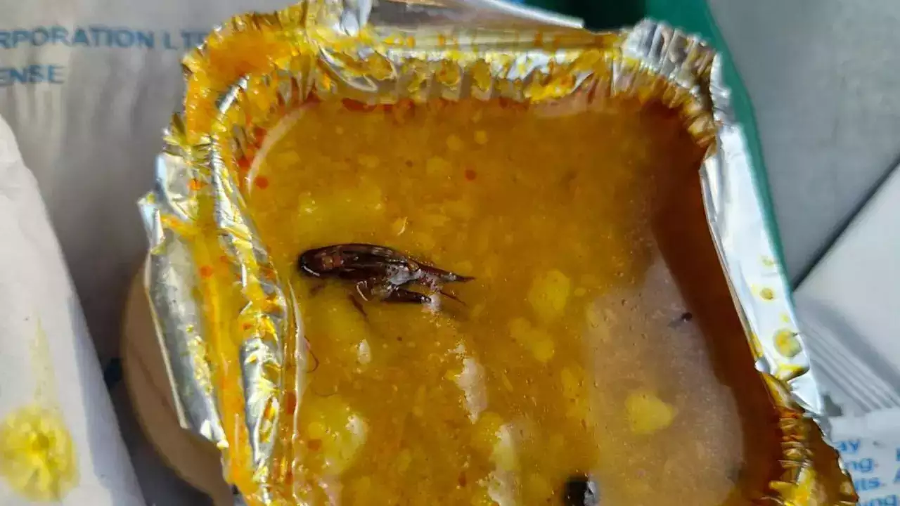 Insects In Sambar: Vande Bharat Passenger’s Complaint Sparks ₹50K Fine For Food Provider