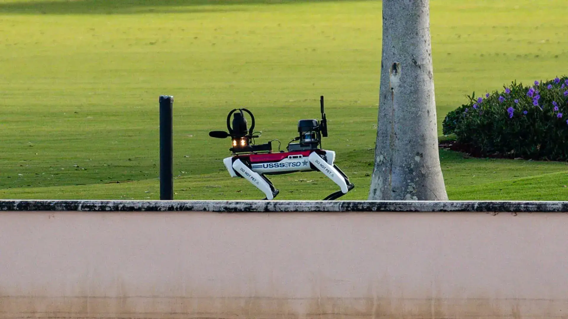 Is Trump Using A Robotic Dog To Guard His Mar-a-Lago Estate?