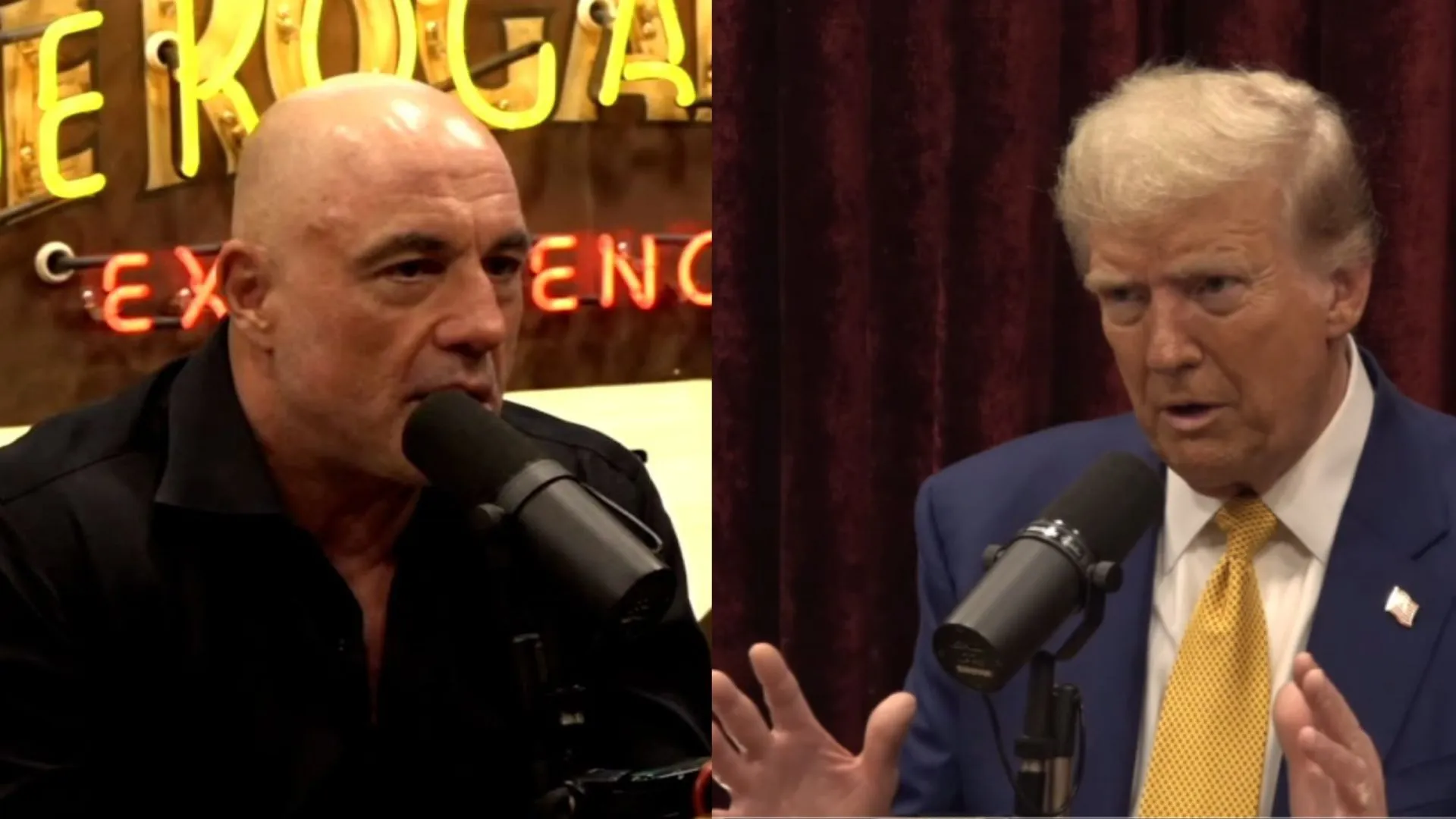 Joe Rogan Officially Endorses Trump On The Eve Of The Election