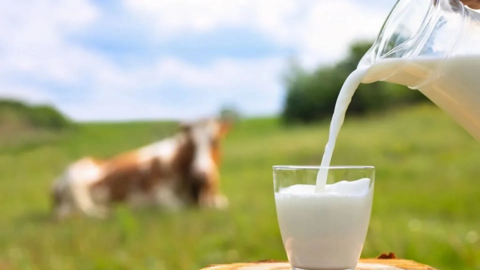 Is Milk Really Vegetarian? Social Media Debates Milk And Eggs; Users Respond With ‘Arre Mat Dimaag Laga’