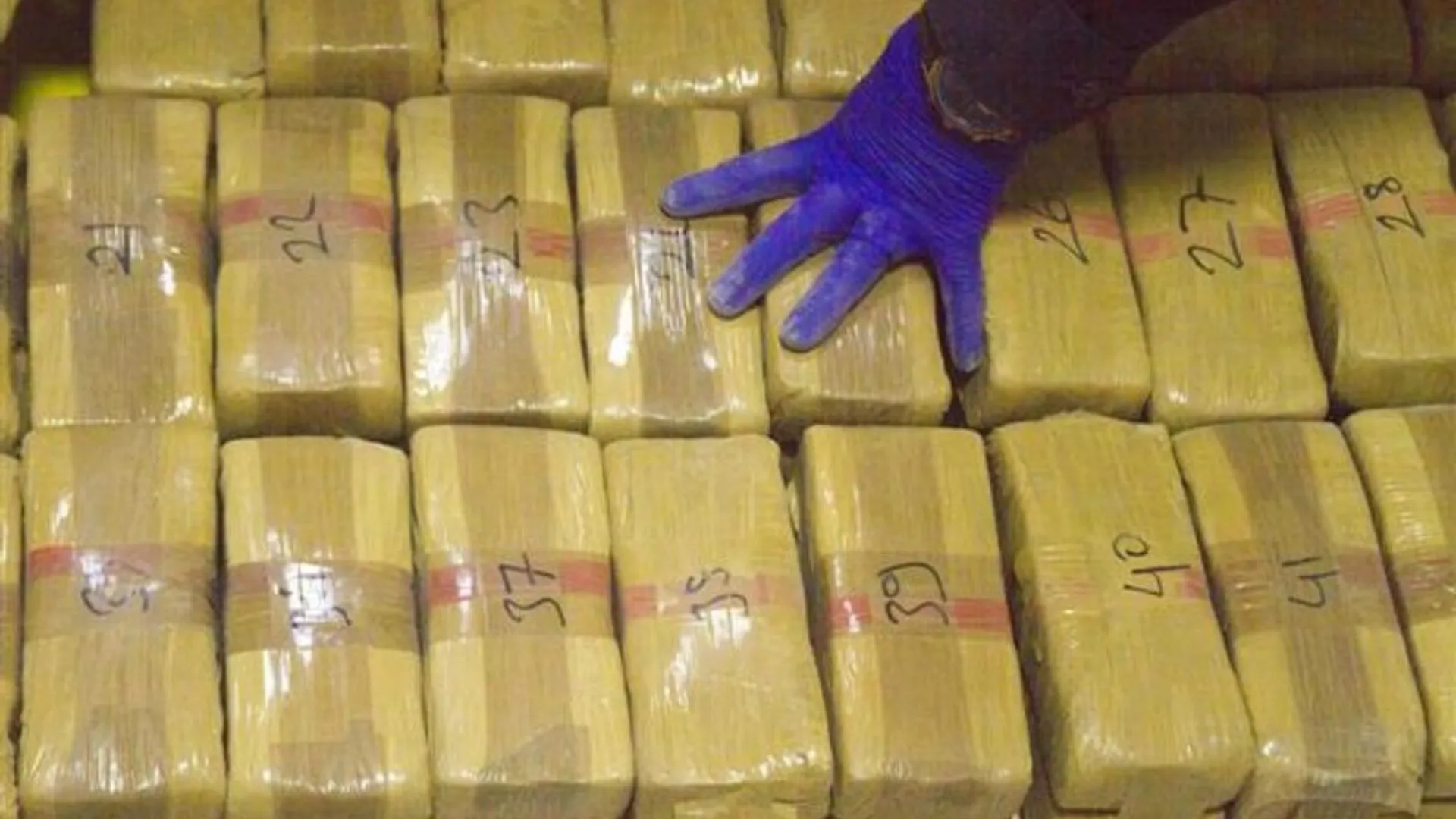 NCB Seizes 82.53kg Of Cocaine Worth ₹900 Crore In Major Delhi Bust