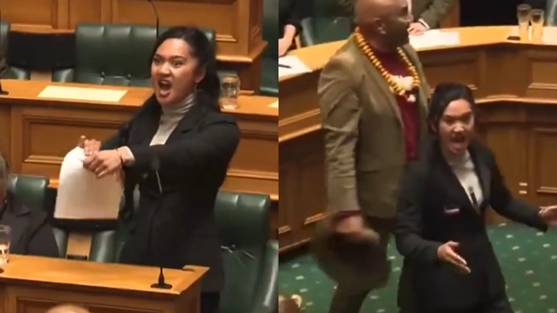 New Zealand MP Rips Up Bill And Disrupts Parliament With Haka Dance In Protest | WATCH