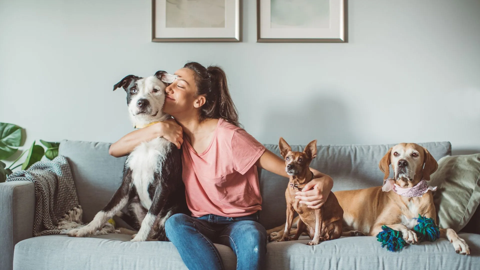 Unique Benefits Of Pet Parenting For Children, Enhancing Development And Social Skills