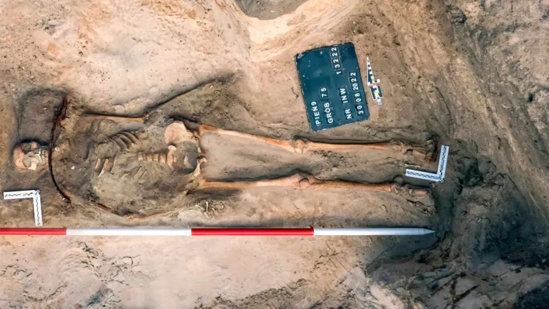 Poland’s 17th Century ‘Vampire’ Grave Revealed – Why Was She Buried With A Sickle Across Her Neck?