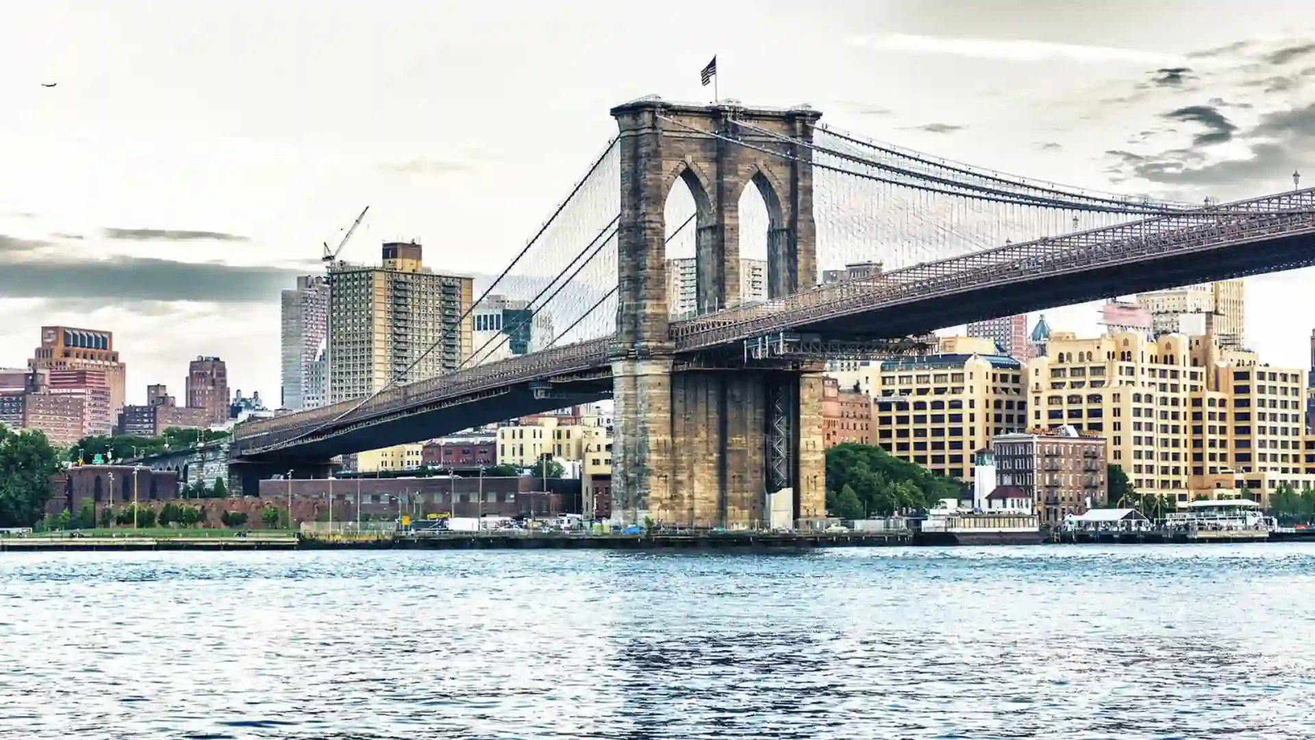 Rare Animal Spotted Near Brooklyn Bridge; Authorities Urge Caution