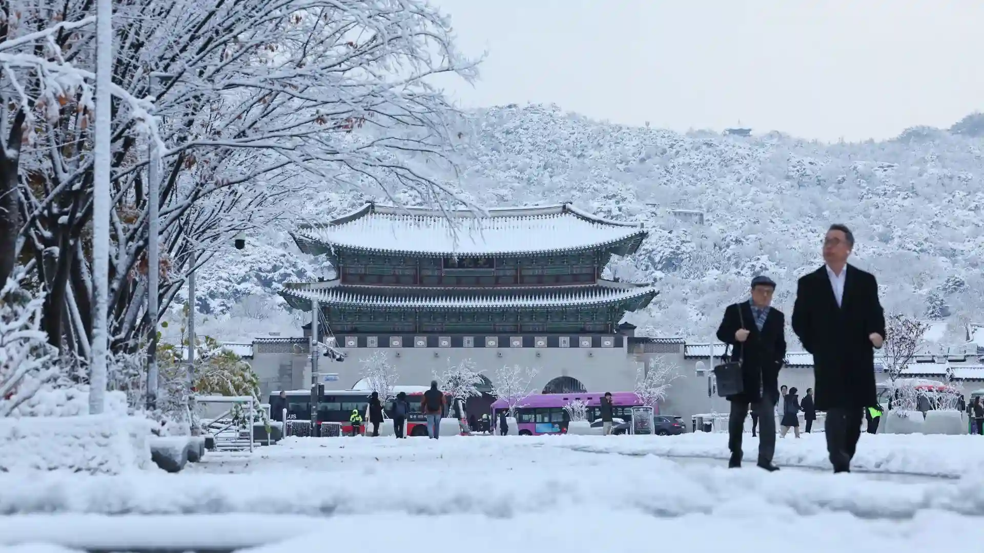 Seoul Records Heaviest November Snowfall In 117 Years, Disrupting Traffic And Causing Injuries