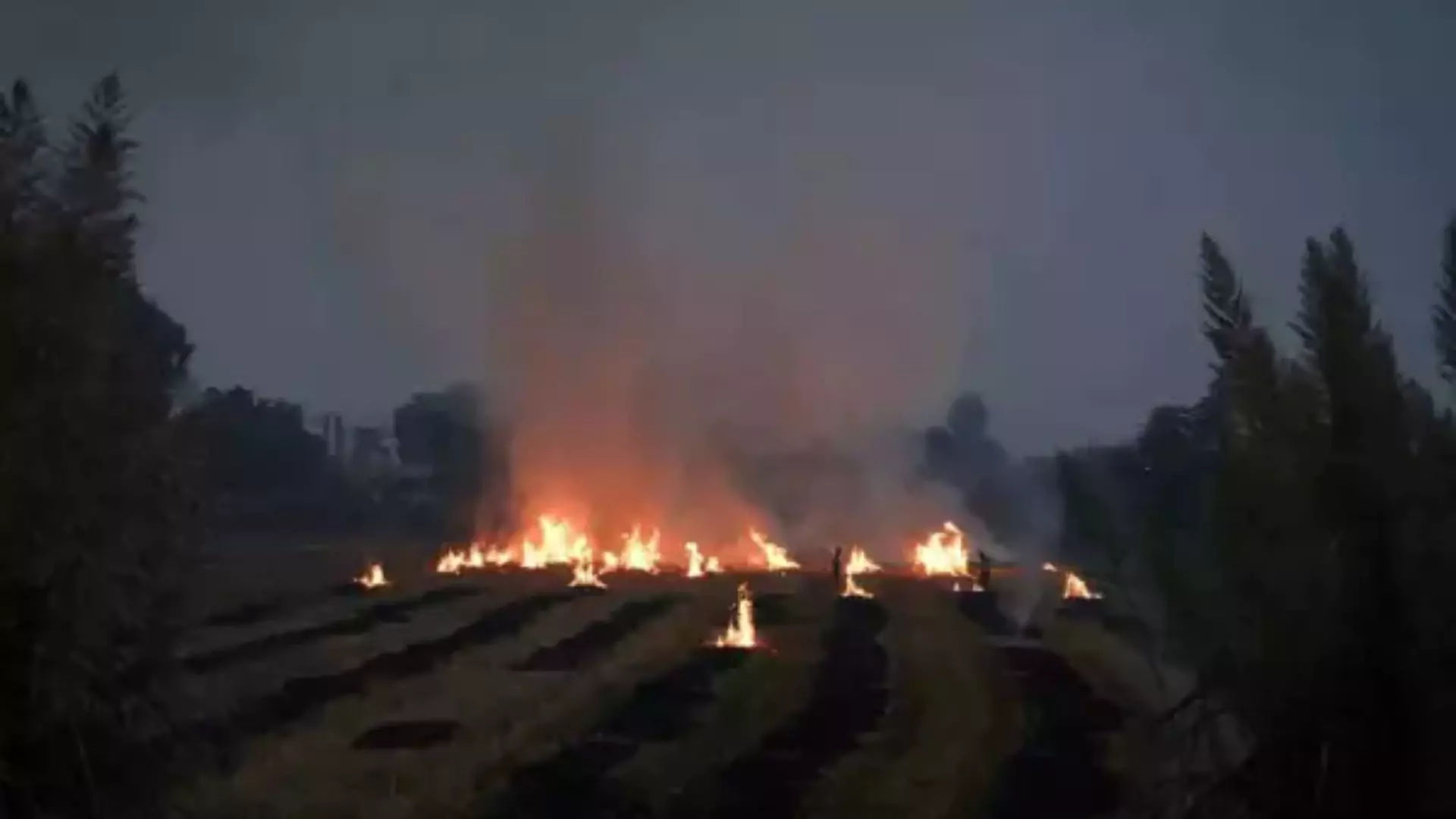 Stubble Burning in Punjab and Haryana; Satellite Evasion and Rising ‘Burnt Area’ Concerns