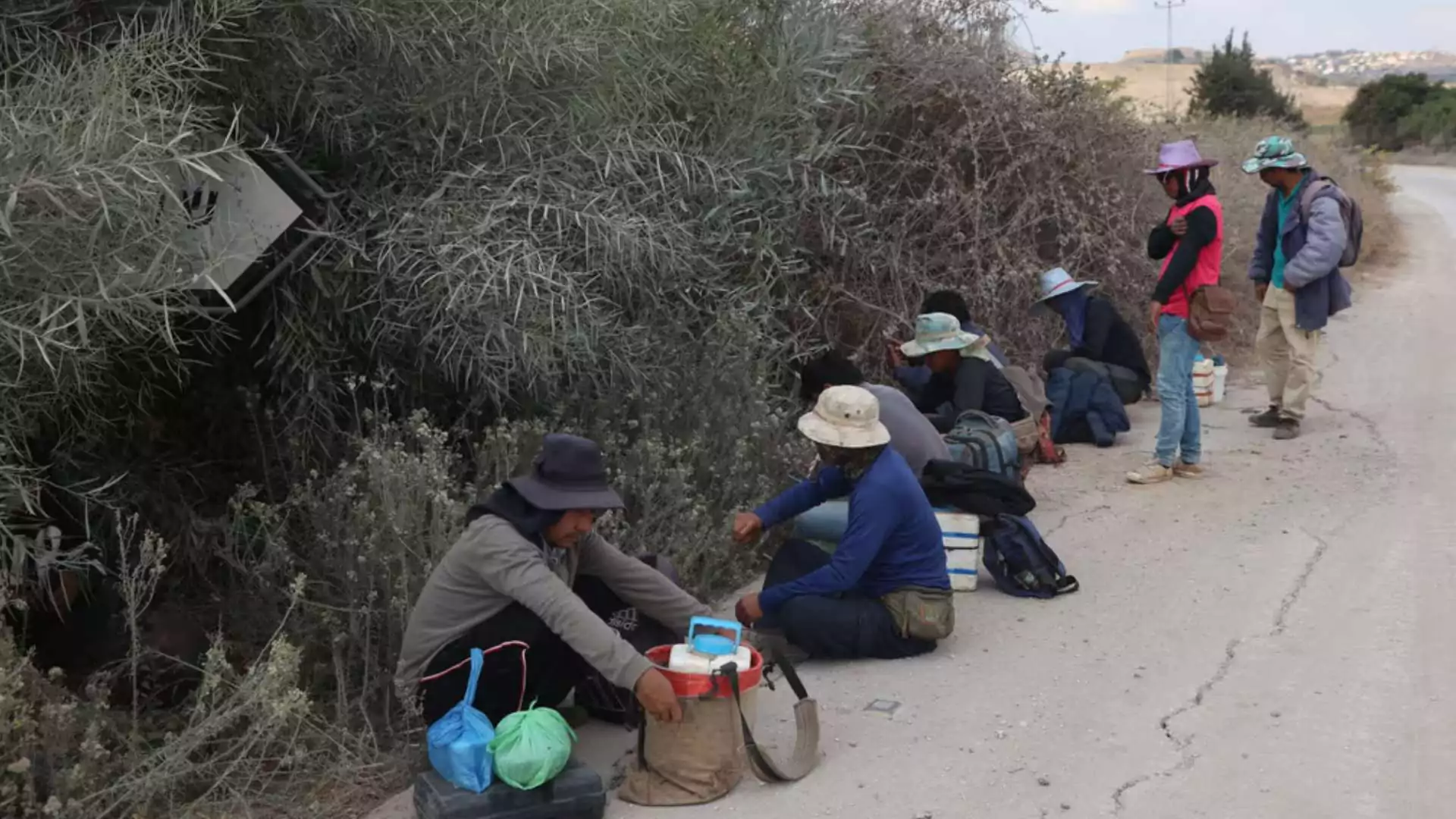 Four Thai Workers Killed in Northern Israel by Rocket Attack from Lebanon