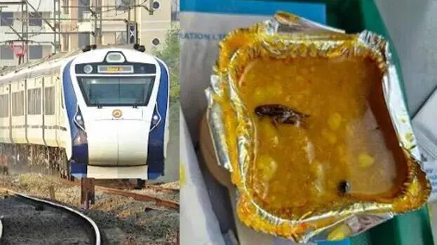 Insects In Sambar: Vande Bharat Passenger’s Complaint Sparks ₹50K Fine For Food Provider