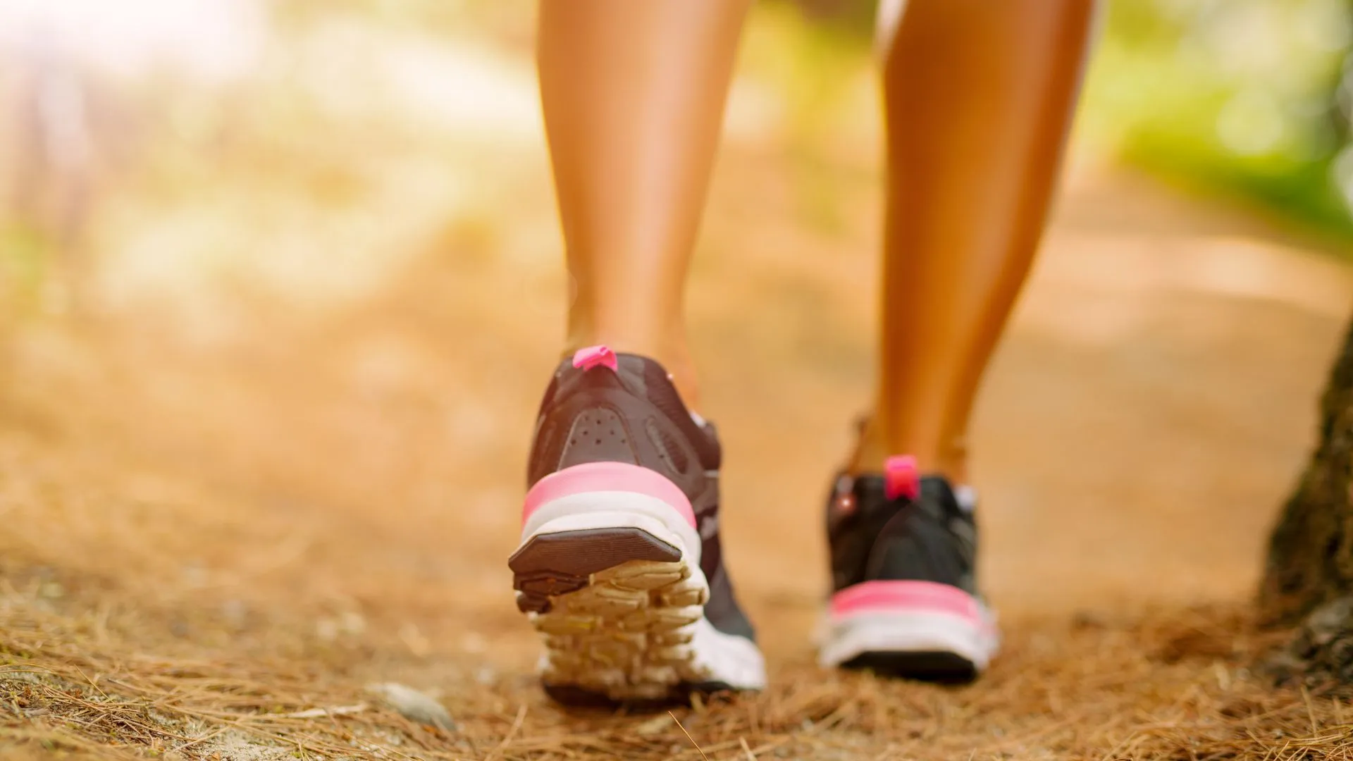 Want A Healthier Brain? Walking Might Be The Answer, Study Says