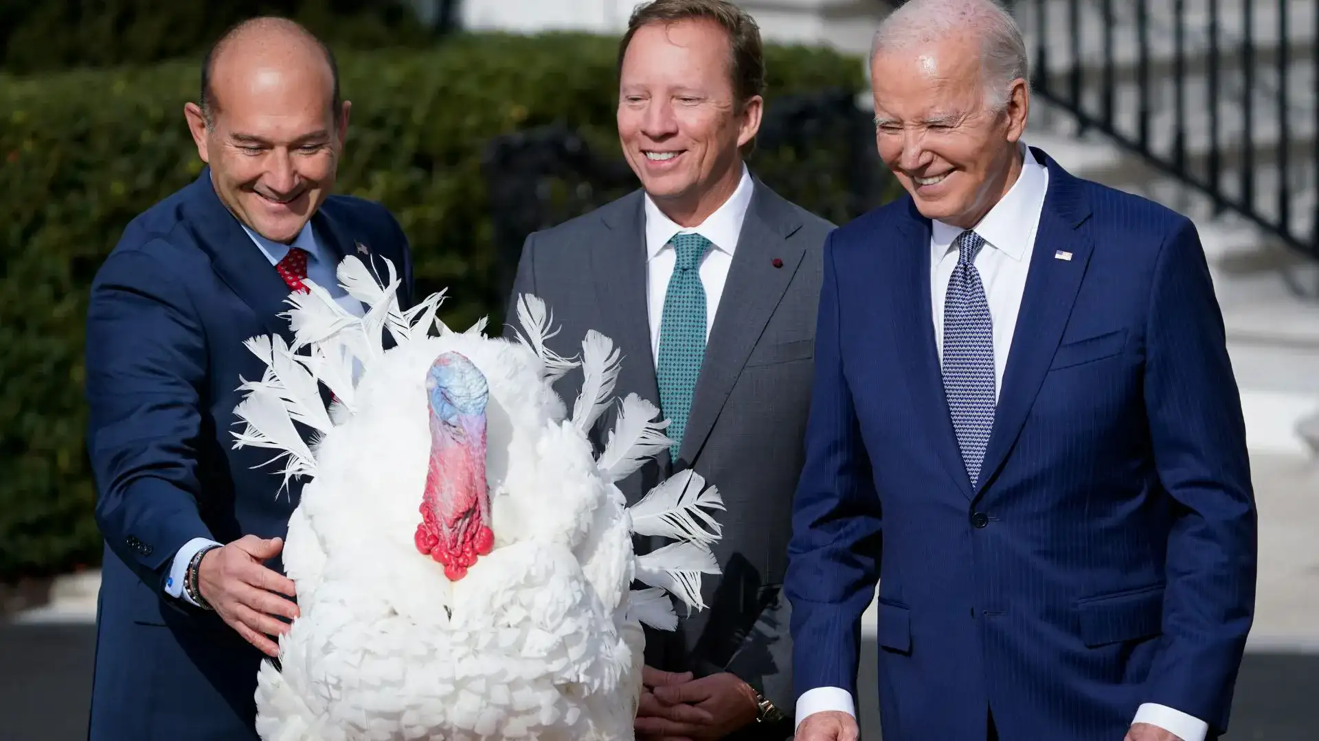 What Is The Tradition Of The Turkey Pardon At The White House And Why Is It So Popular?