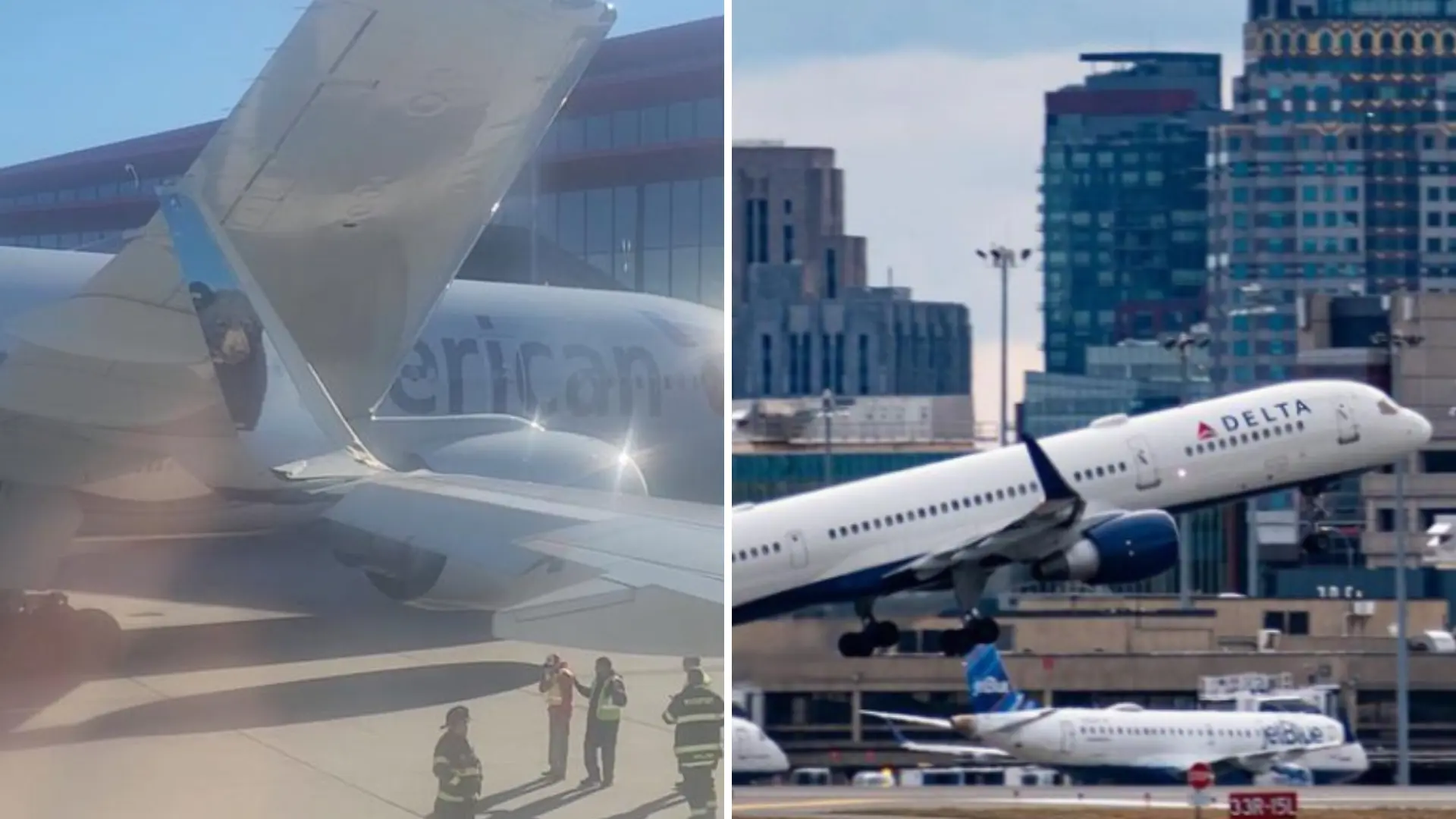 Busy Holiday Turns Chaotic As Four Planes Collide In Two Separate Accidents At Boston Logan International Airport