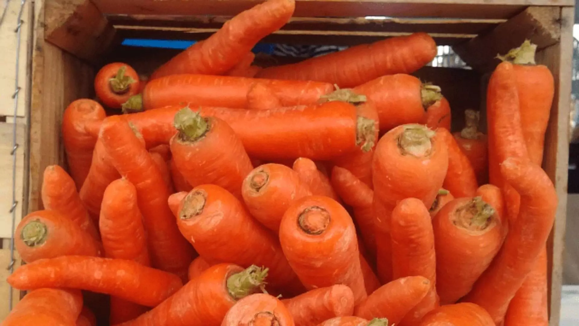 Baby Organic Carrots Linked To E. Coli Outbreak In US Leaves One Dead, Dozens Hospitalized