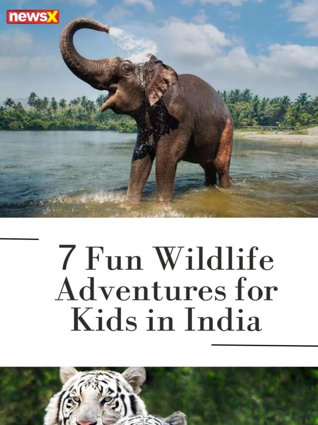 7 Fun Wildlife Adventures for Kids in India