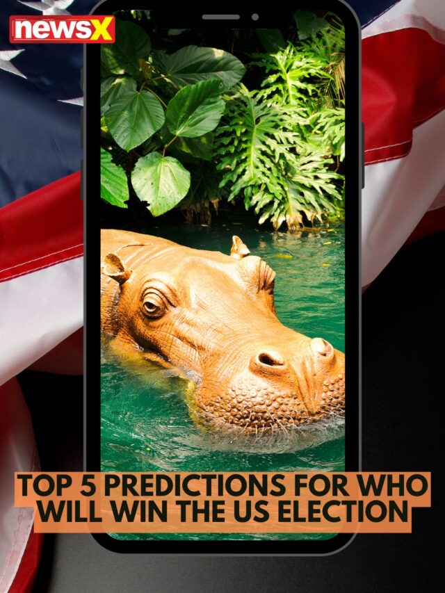 Top 5 Predictions For Who Will Win The US Election