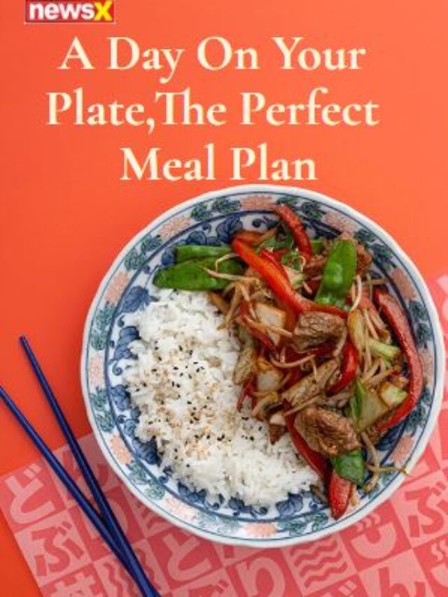 A Day On Your Plate,The Perfect  Meal Plan