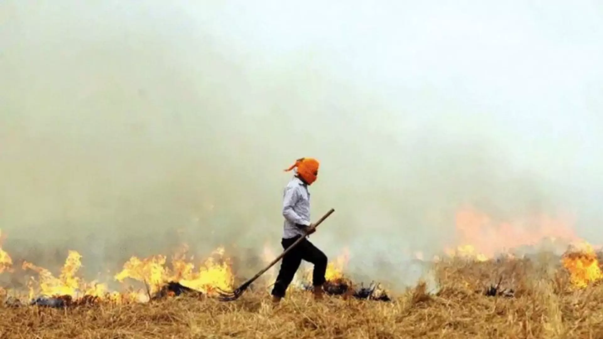 Punjab Farmers Protest Biogas Plants Amid Farm Fire Crisis in North India