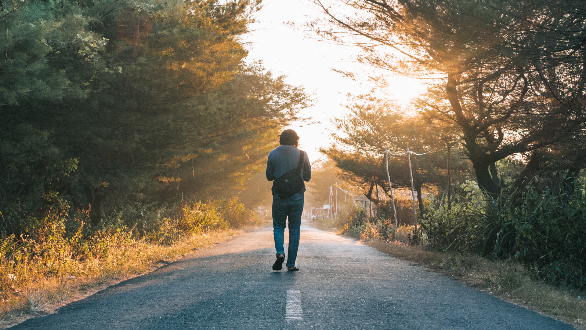 Morning Walk In High Air Pollution, Is It A Good Idea?