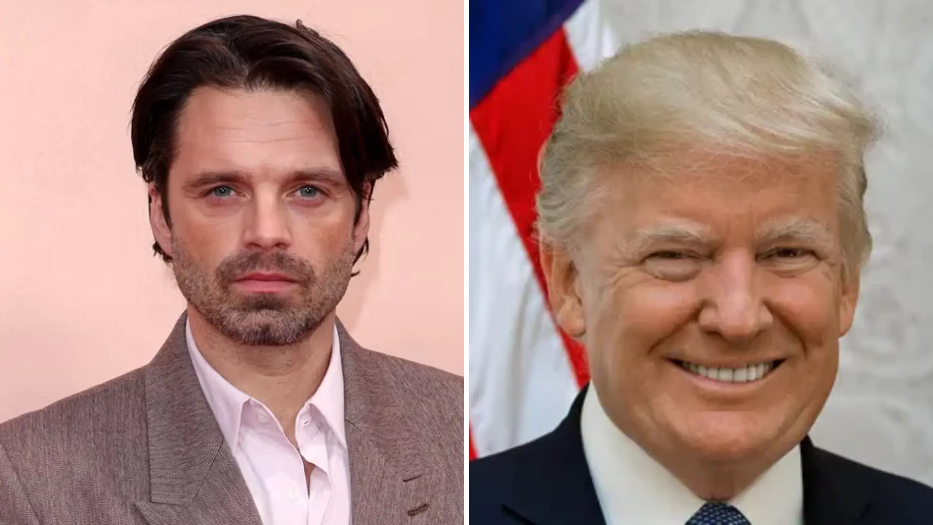 Why Did Apprentice Star Sebastian Stan Dub Donald Trump ‘Paranoid, Scared Little Man?’