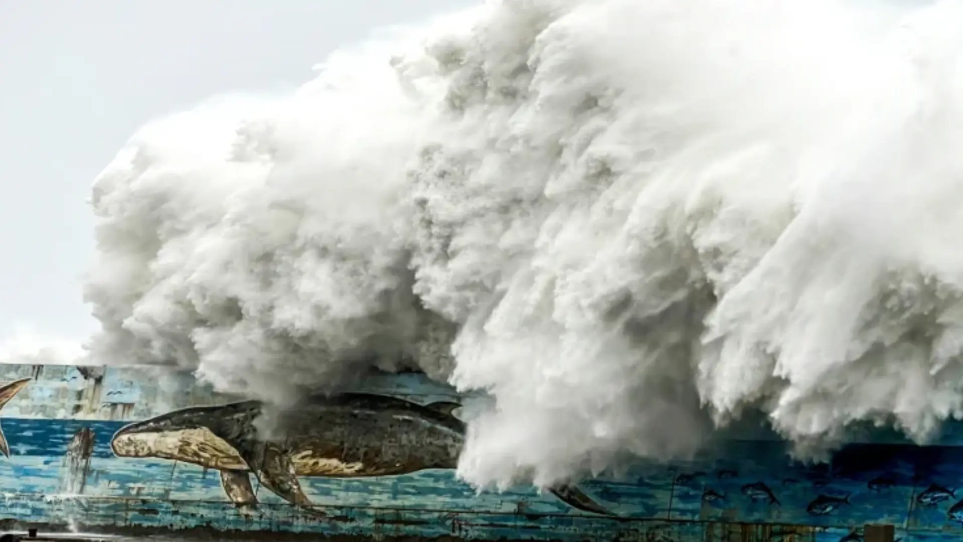 Taiwan: Typhoon Kong-Rey Wreaks Havoc Leaving 2 Dead And More Than 500 Injured