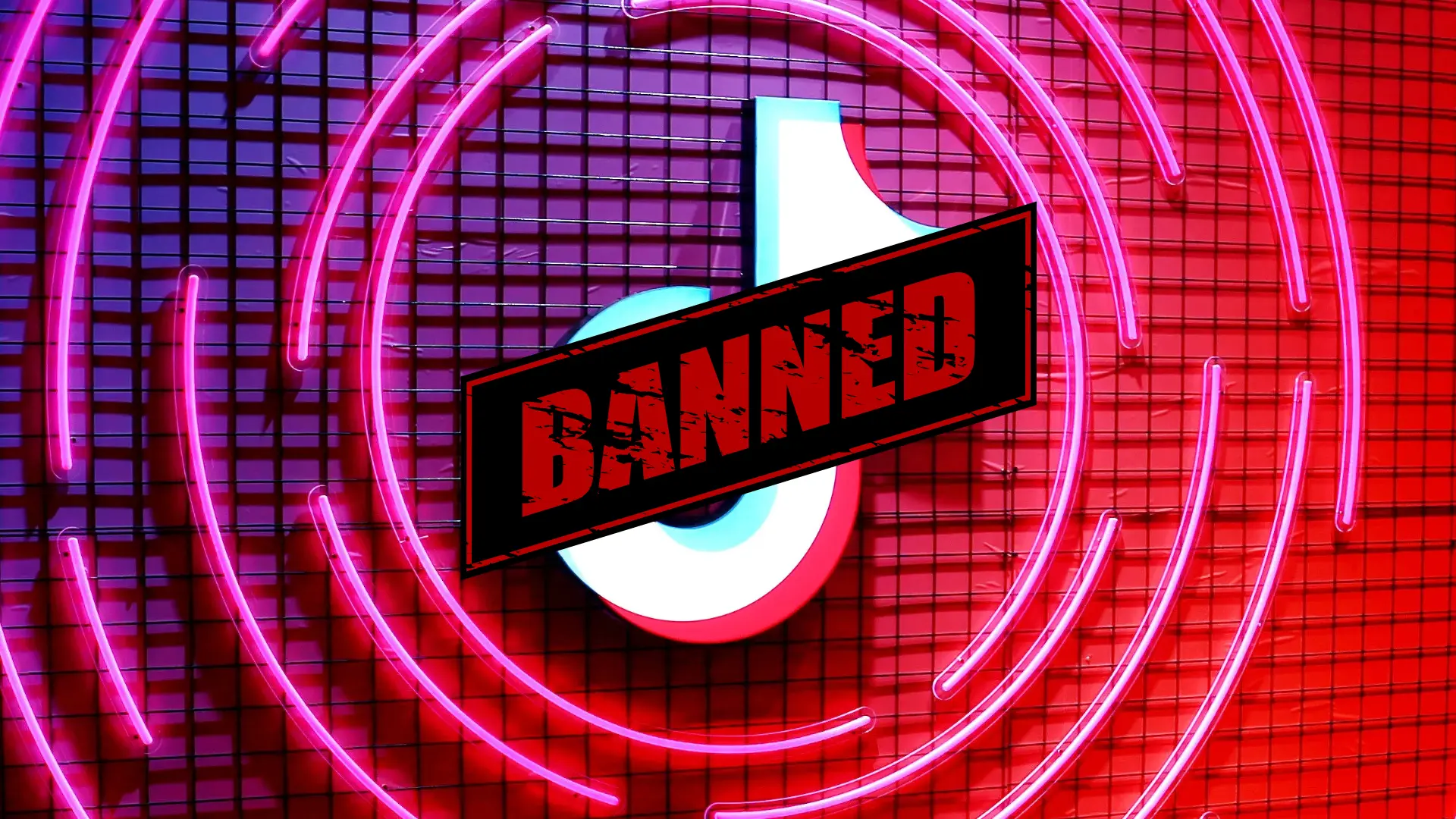 From India To Afghanistan And Others, Here’s A List Of Countries That Have Banned TikTok