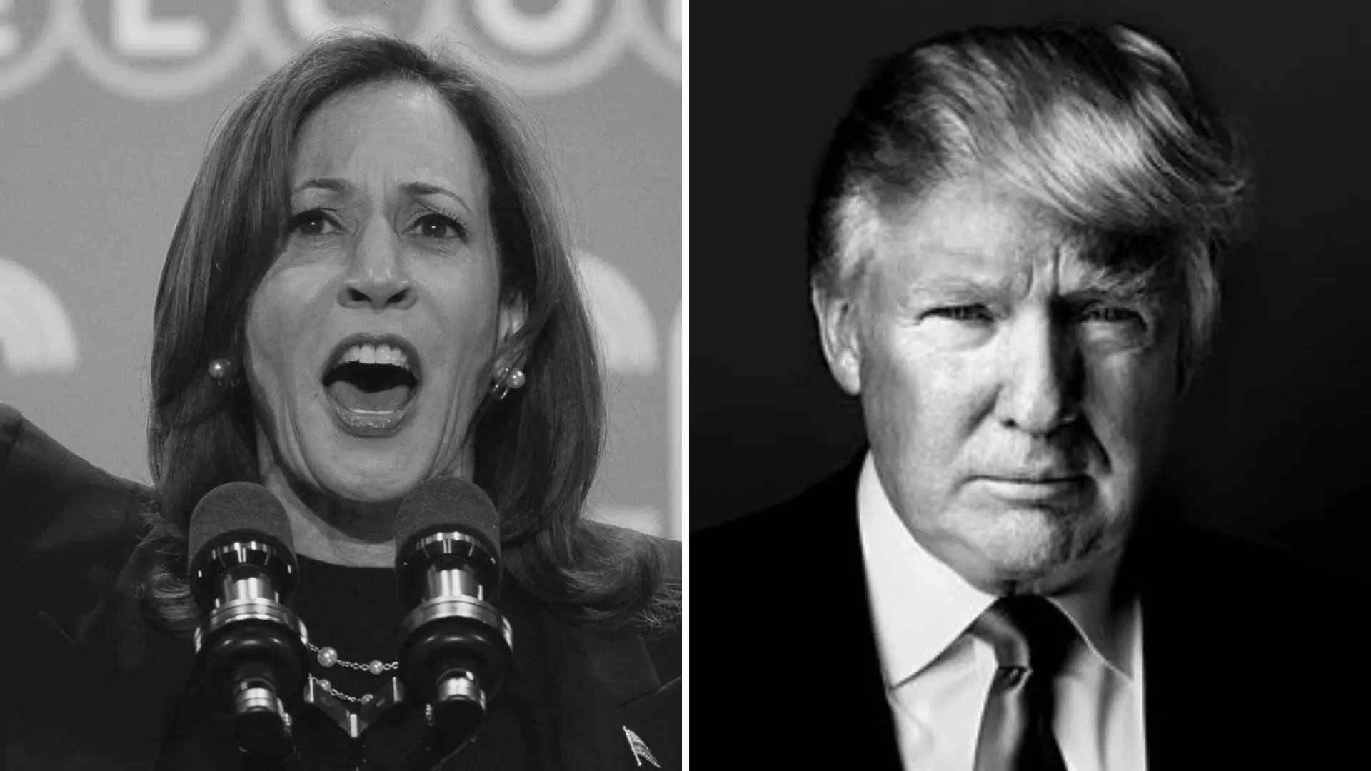 What Happens If Neither Trump Nor Harris Get 270 Electoral Votes?