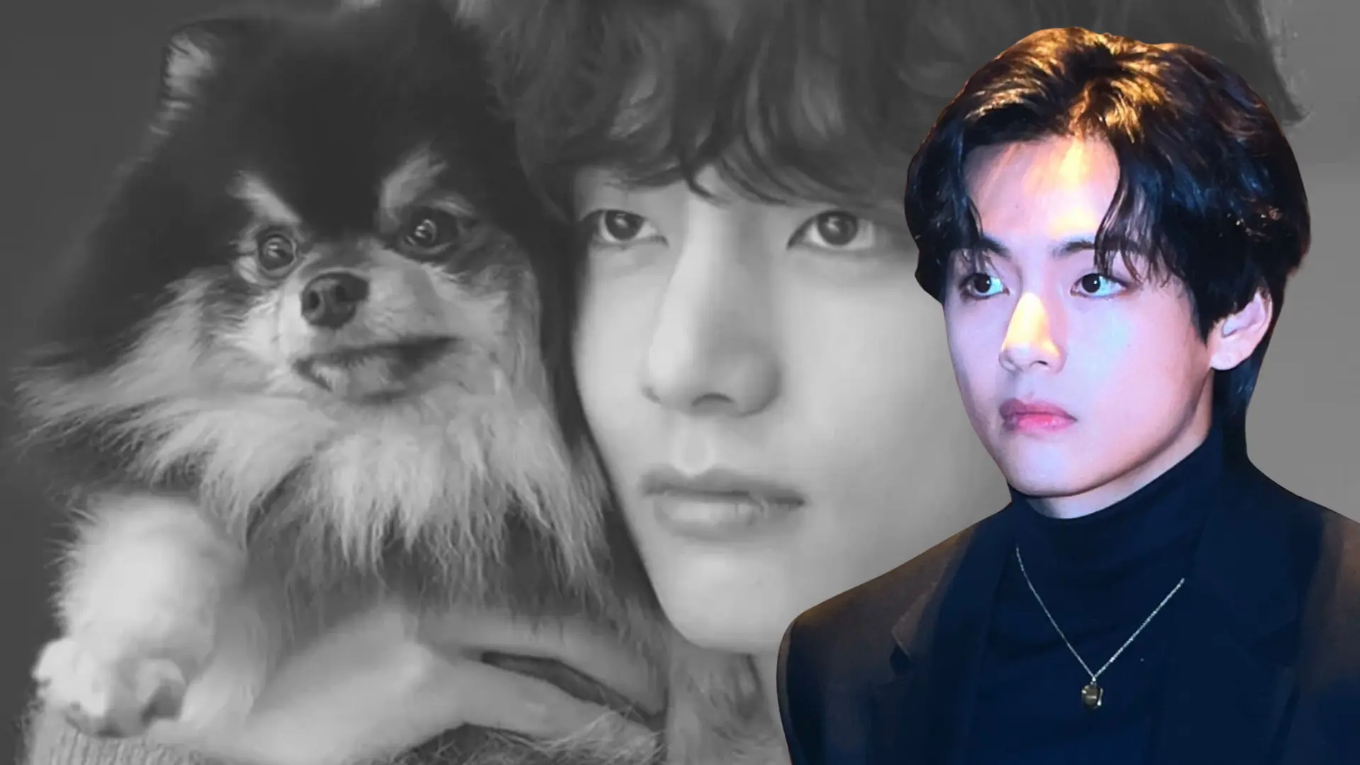 BTS Star V Mourns The Loss Of His Beloved Dog Yeontan In Heartfelt Tribute