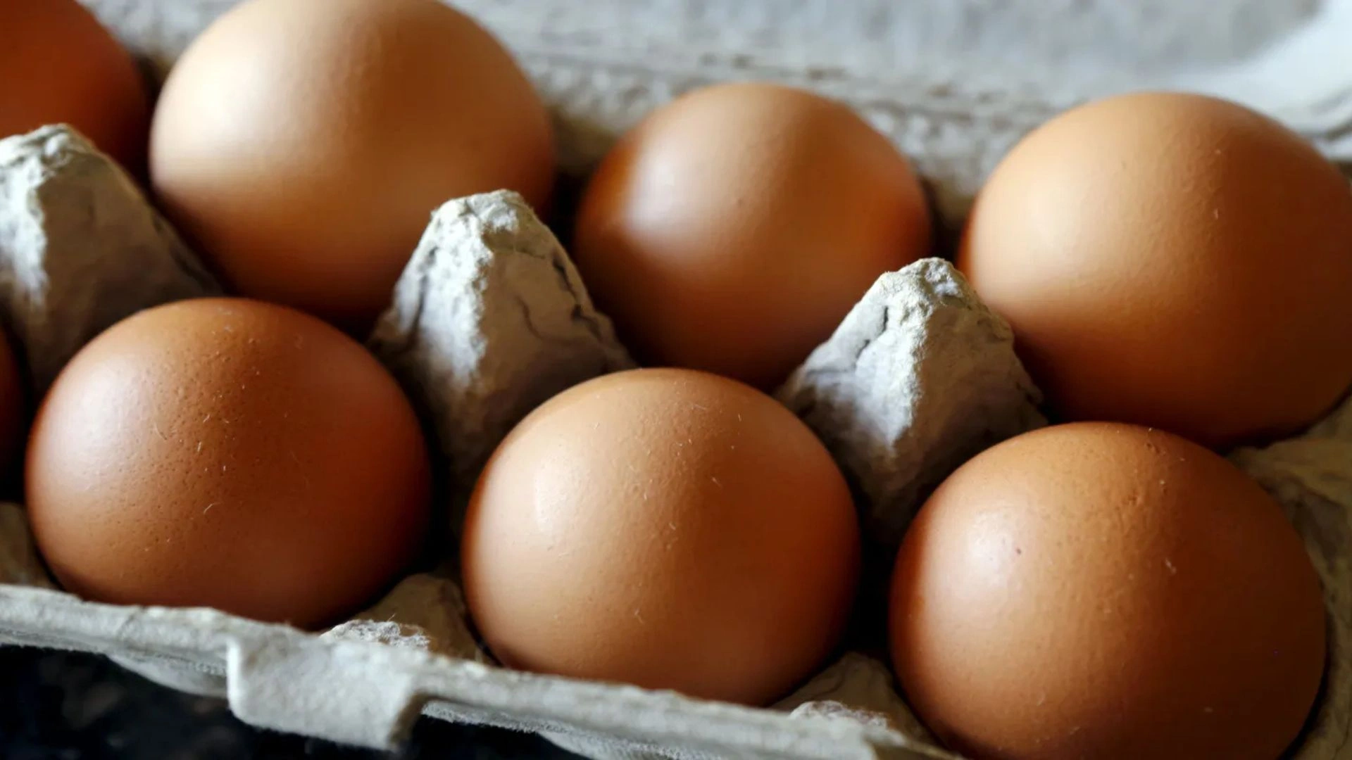 Why Did FDA Raise Costco Egg Recall To Highest Risk Level Over Salmonella Fears?