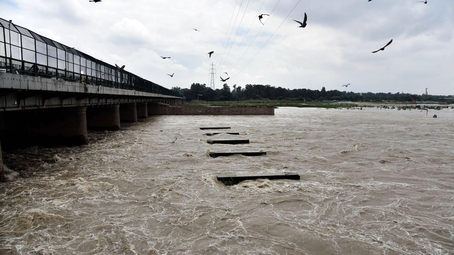 Delhi Water Crisis Deepens As Ammonia Levels Spike, Supply Cut Across THESE Areas