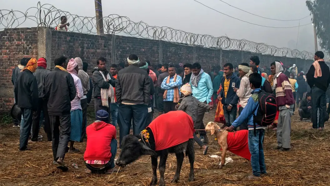 Gadhimai Festival: Is This The World’s Bloodiest Celebration?