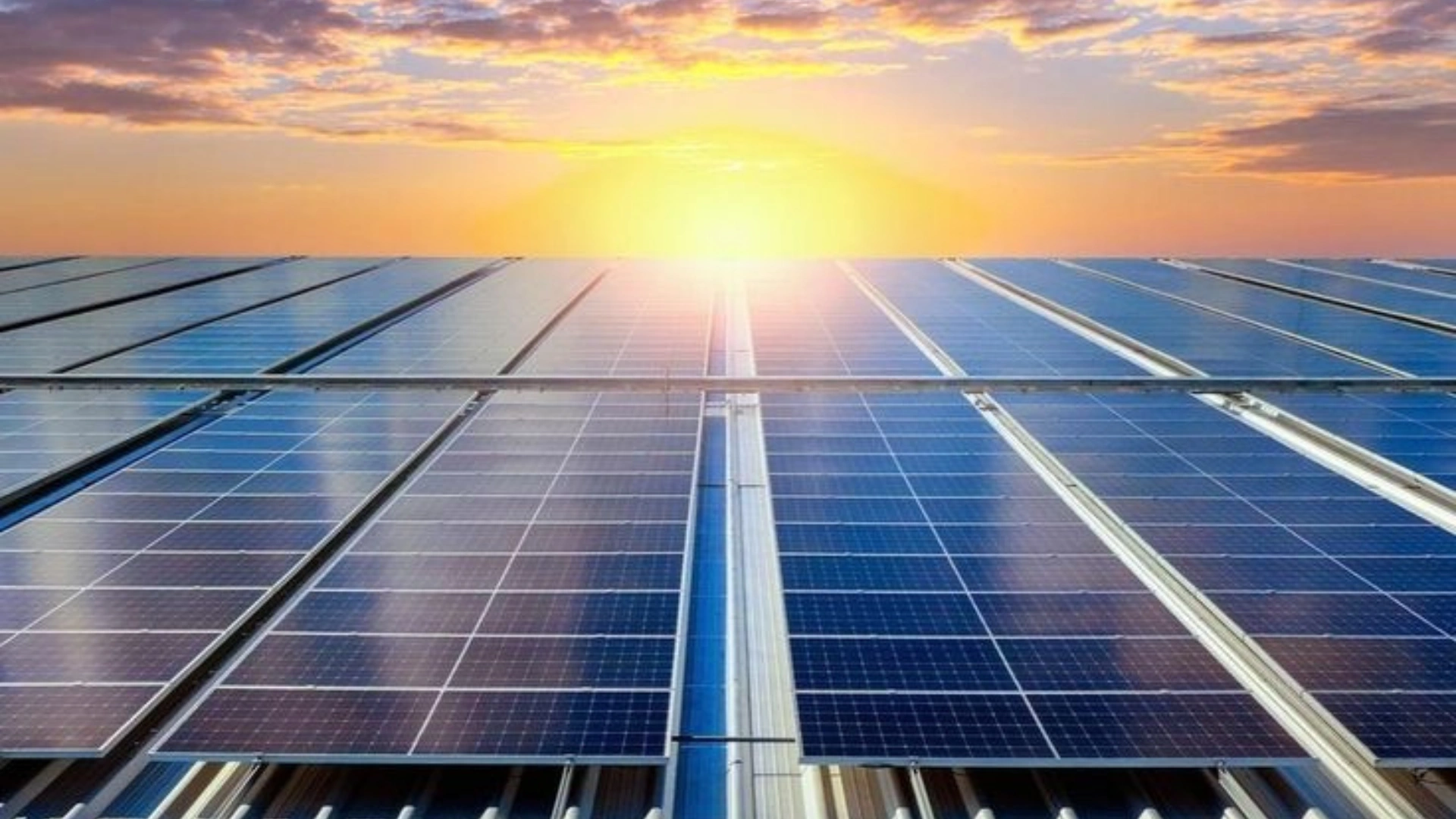 Bharat Pulse Survey: Are You Considering Rooftop Solar?