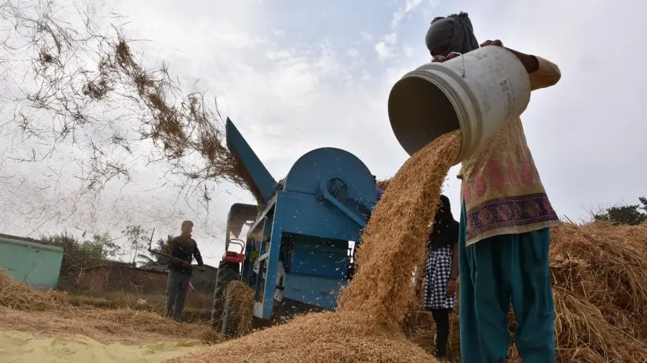 India Loses ₹1.5 Lakh Crore In Crops Annually: What’s Causing The Wastage?