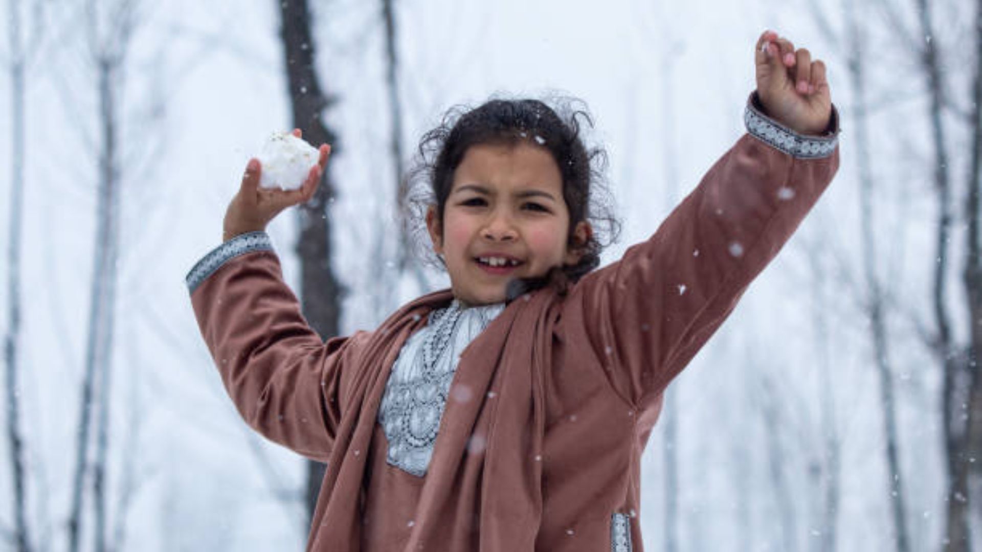 Kashmir Blanketed in Fresh Snow: A Winter Wonderland