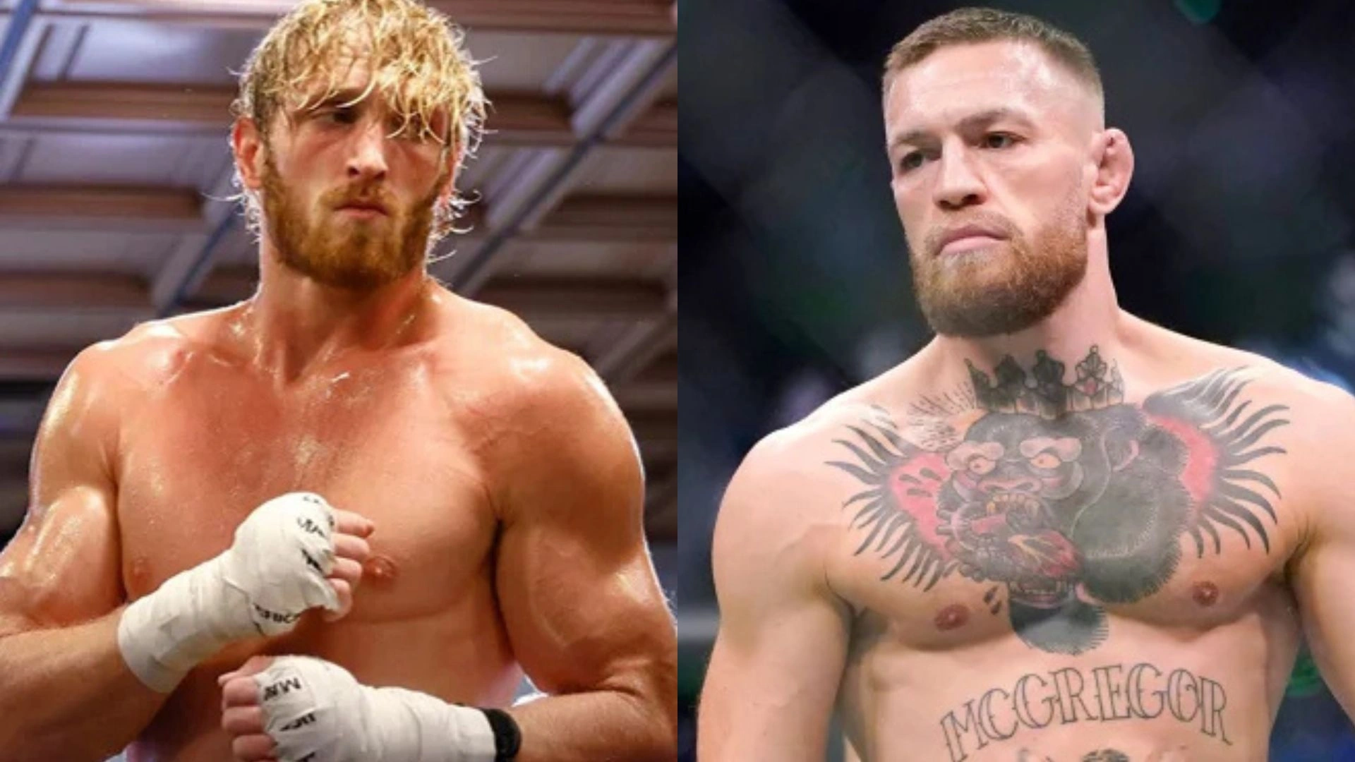 McGregor To Face Logan Paul In High-Profile Boxing Exhibition In India: What’s The Ambani Connection?