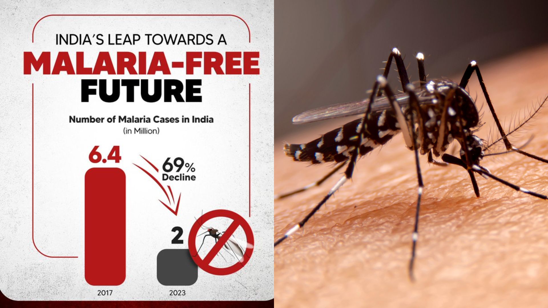 Bharat Progress Report: Malaria Decreases To 69% In India, Removing From High Burden List