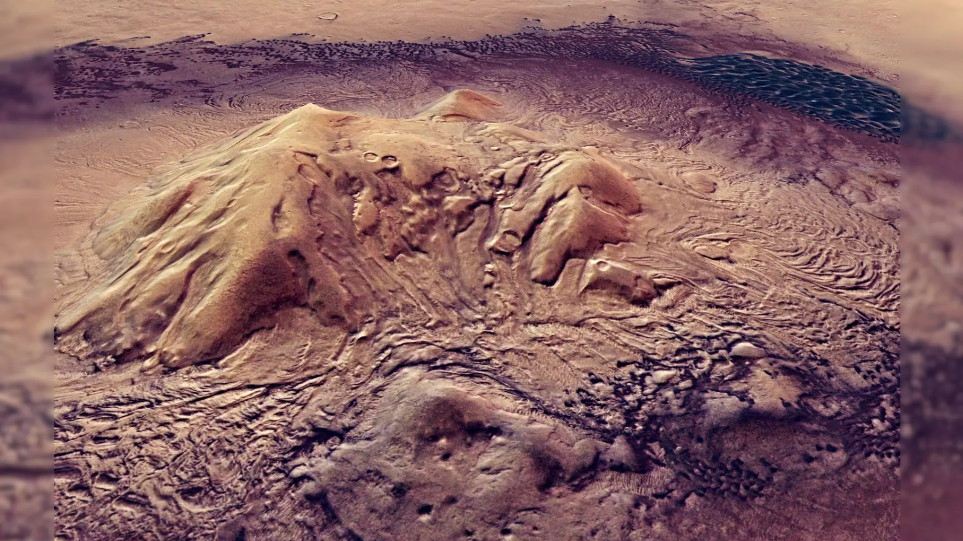 Could Mars’ Subsurface Hide Microbial Life? Study Finds Hope In Acidalia Planitia