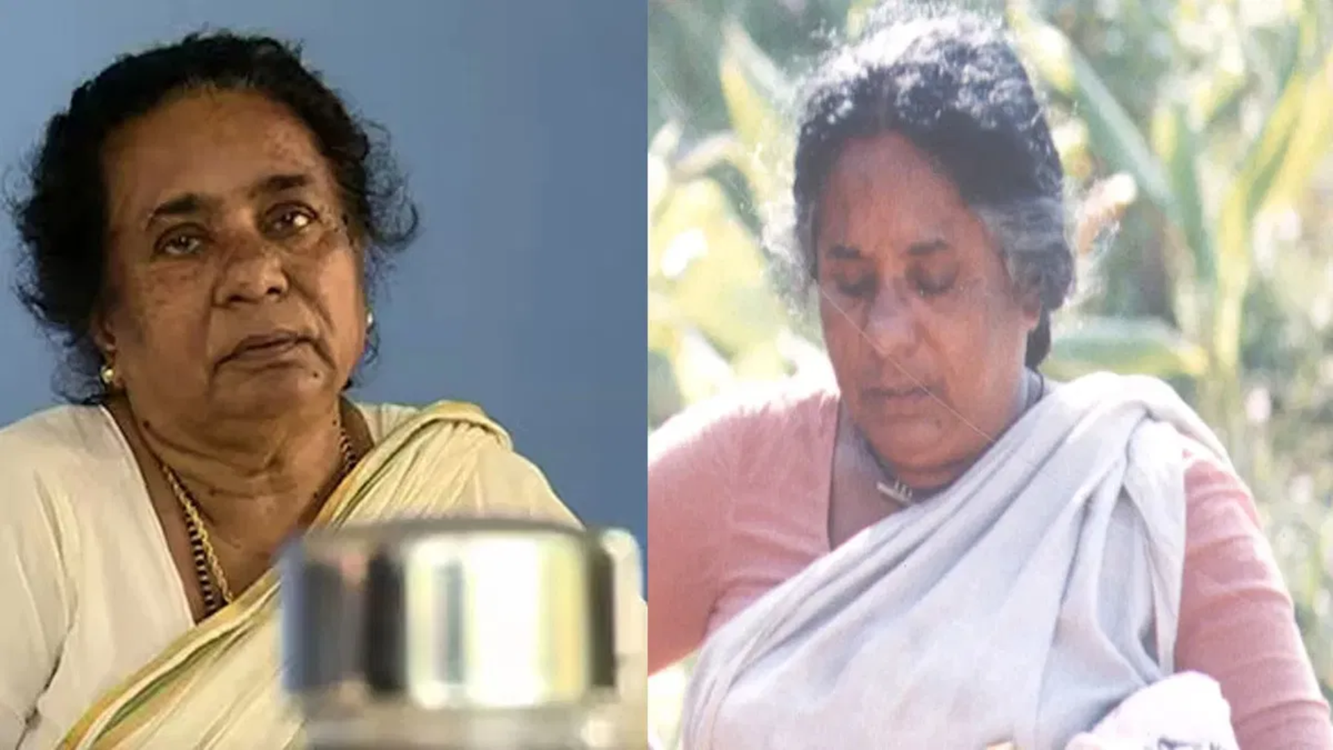 Veteran Malayalam Actor Meena Ganesh Passes Away At 81