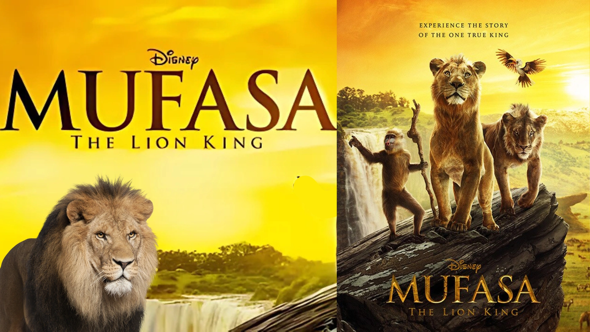 Mufasa: The Lion King Opens In Theaters—When Will It Be On Disney+?