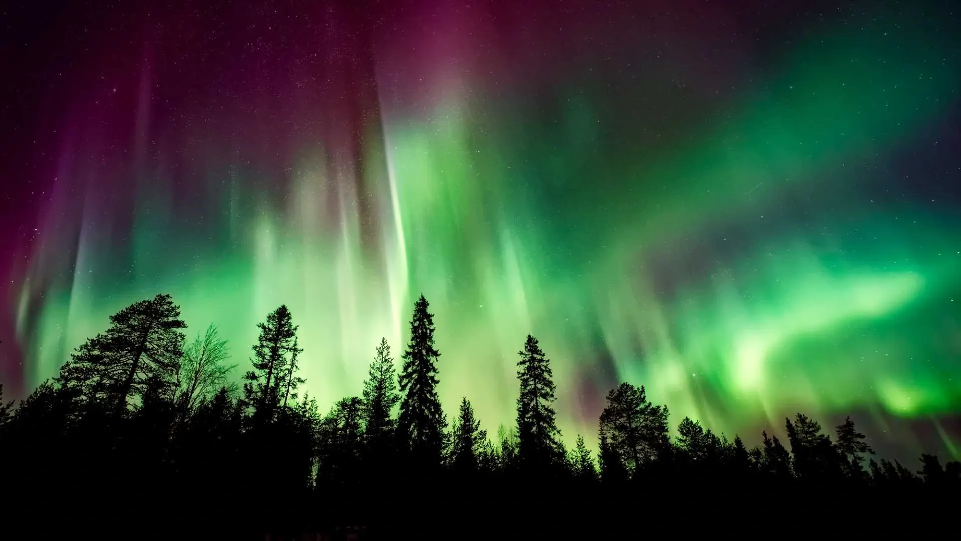 Northern Lights To Brighten Skies On New Year’s Eve: Here’s Where To See Them In 18 U.S. States